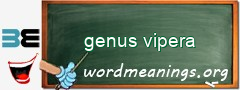 WordMeaning blackboard for genus vipera